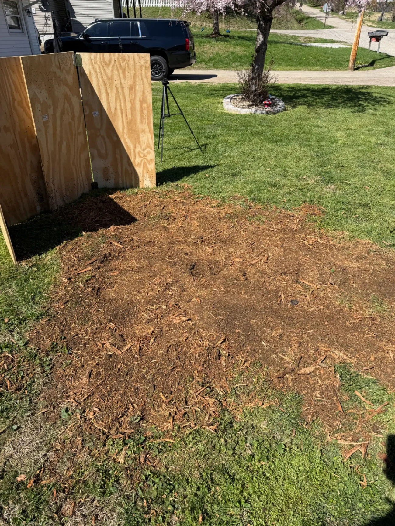 After stump removal