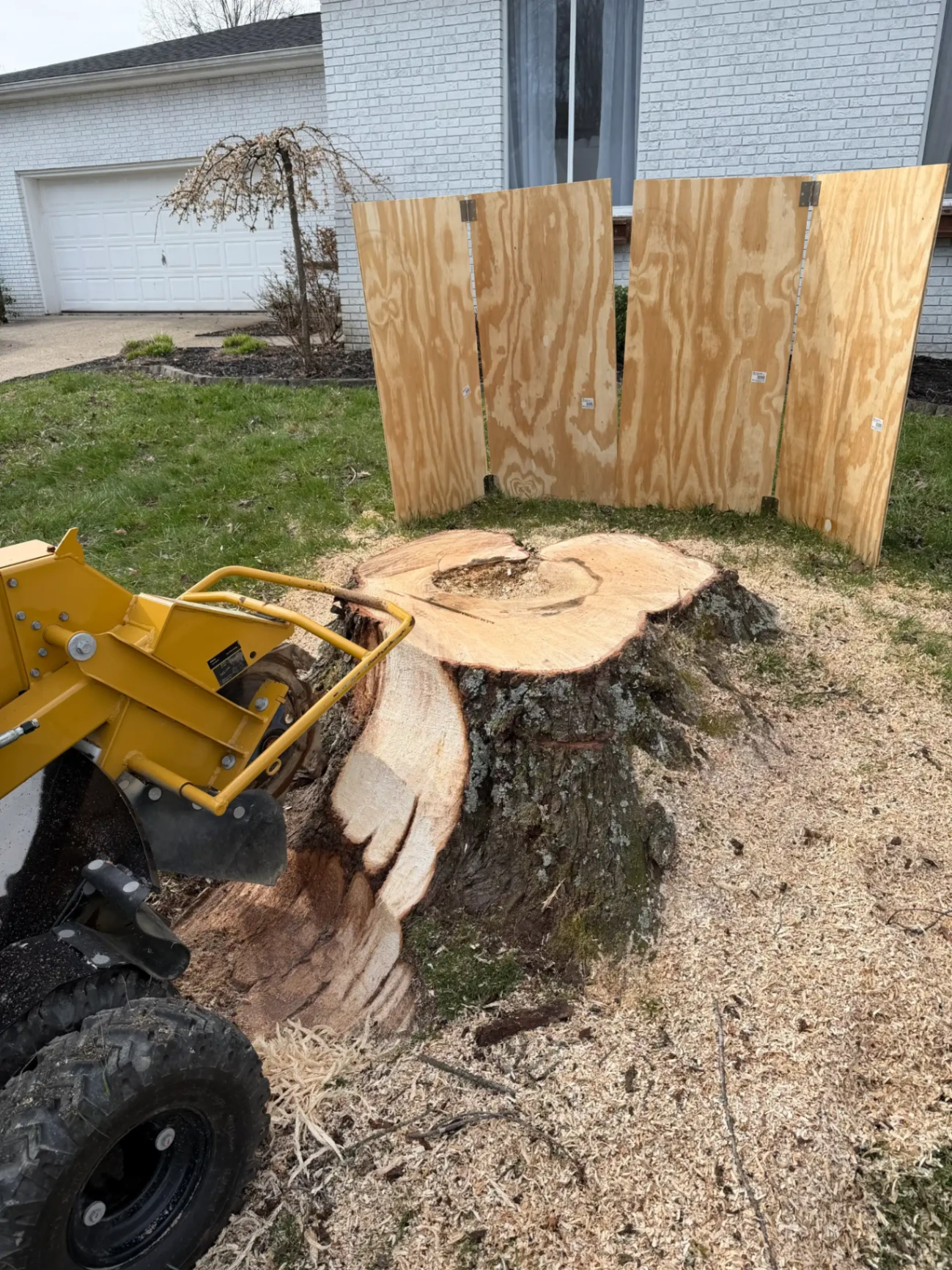 Commercial stump grinder actively grinding a tree stump in a residential yard
